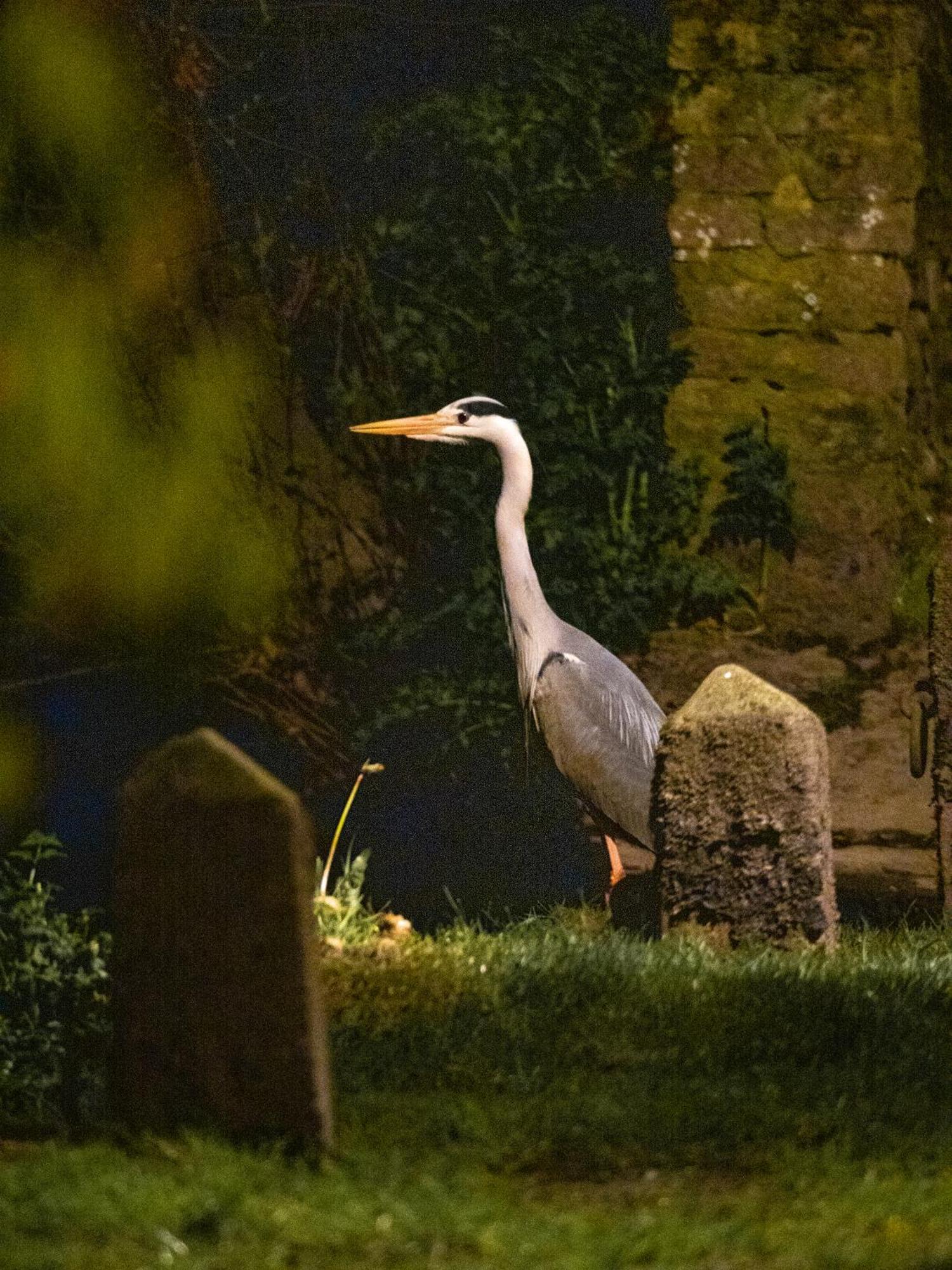 Tranquil Riverside * Христчёрч